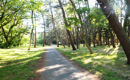 【返礼品なし】秋田県能代市への寄付 応援 支援 寄附のみ 100,000円【能代市ふるさと納税】