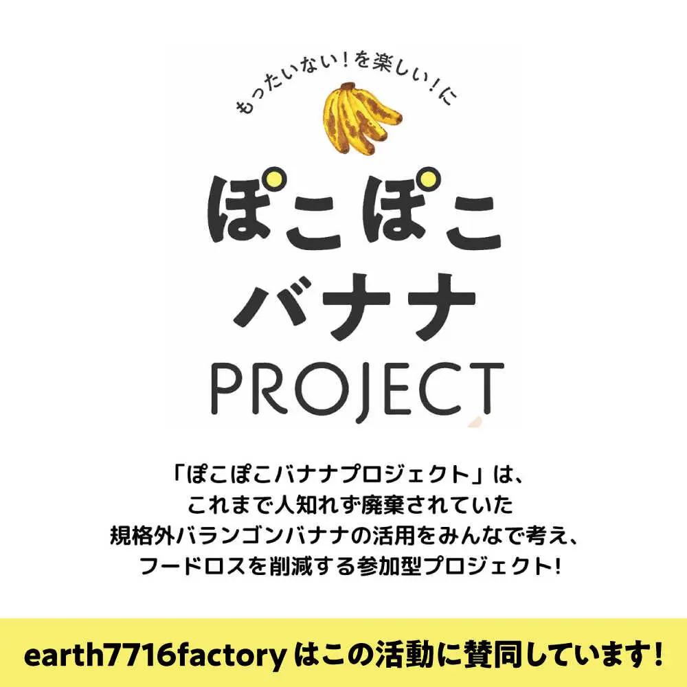 【全12回定期便】バナナブレッド パウンドケーキ パウンドケーキ[ASBV008]