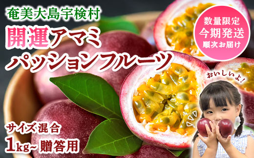 開運 パッションフルーツ 贈答用 (サイズ混合 1kg) 【2025年6月中旬～順次発送】鹿児島県産 国産 奄美大島 宇検村 果物 フルーツ リリコイ 果物時計草 南国 品種 産地直送 農家直送 デザート 家庭用 お取り寄せ 特産品 旬 新物 奄美大島開運酒造 夏 人気