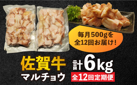 【全12回定期便】 【脂が甘くてぷりっぷり！】佐賀牛ホルモン 焼肉用 小腸 計6kg（250g/袋）味付けなし 吉野ヶ里町/やきとり紋次郎[FCJ093]