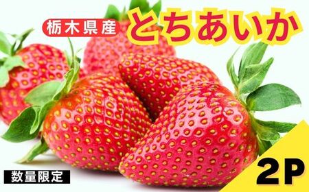 [1月以降発送][期間限定] 栃木県産 いちご とちあいか 12～15粒 × 2P 先行予約 選べる発送月 定期便3回｜栃木県産 矢板市産 フルーツ スイーツ デザート 果物 果実 産地直送 栃木県 矢板市