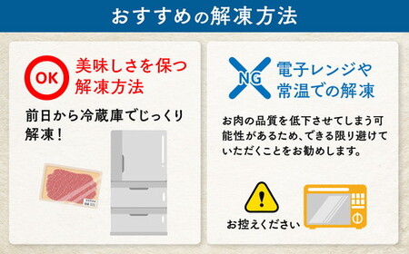 亀岡牛 赤身焼肉 300g 訳あり焼肉