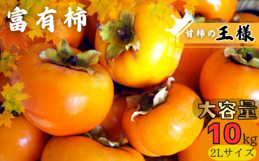 【先行予約】【JAわかやま】2Lサイズ 富有柿 10kg【2025年11月中旬～12月上旬に順次発送致します。】 柿 かき カキ フルーツ 果物 人気 旬【jan004A】
