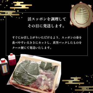【3月お届け】綾部で育てた！！スッポン鍋 1kg  （2～3人前） すっぽん 鍋