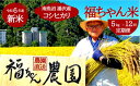 【ふるさと納税】 令和6年産 【精米 5kg / 12ヶ月定期便】谷川連峰の清流で育ったブランド米「福ちゃん米」毎月お届け 数量限定【魚沼産コシヒカリ】南魚沼産 こしひかり 12回定期便