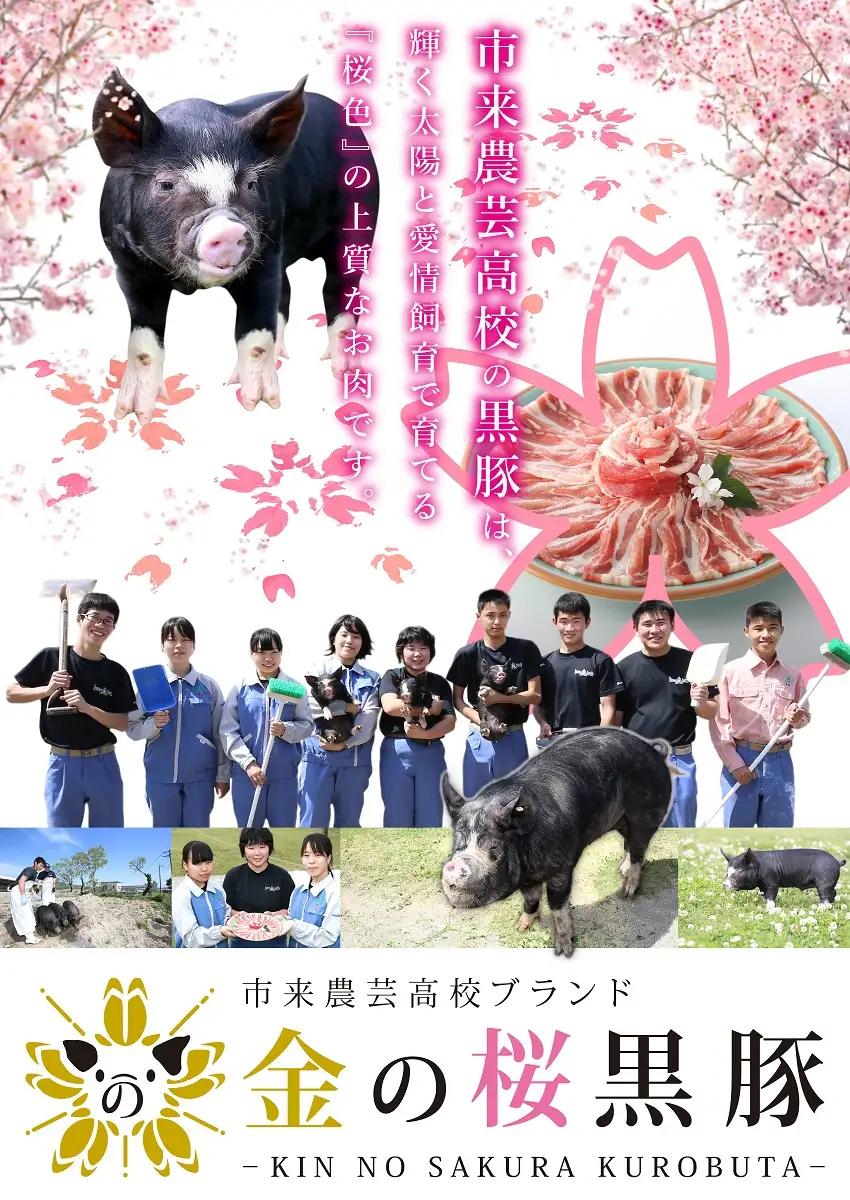 ESSEふるさとグランプリ2023金賞受賞！金の桜黒豚しゃぶしゃぶ（ロース＆バラ）各300g【00-057-04】