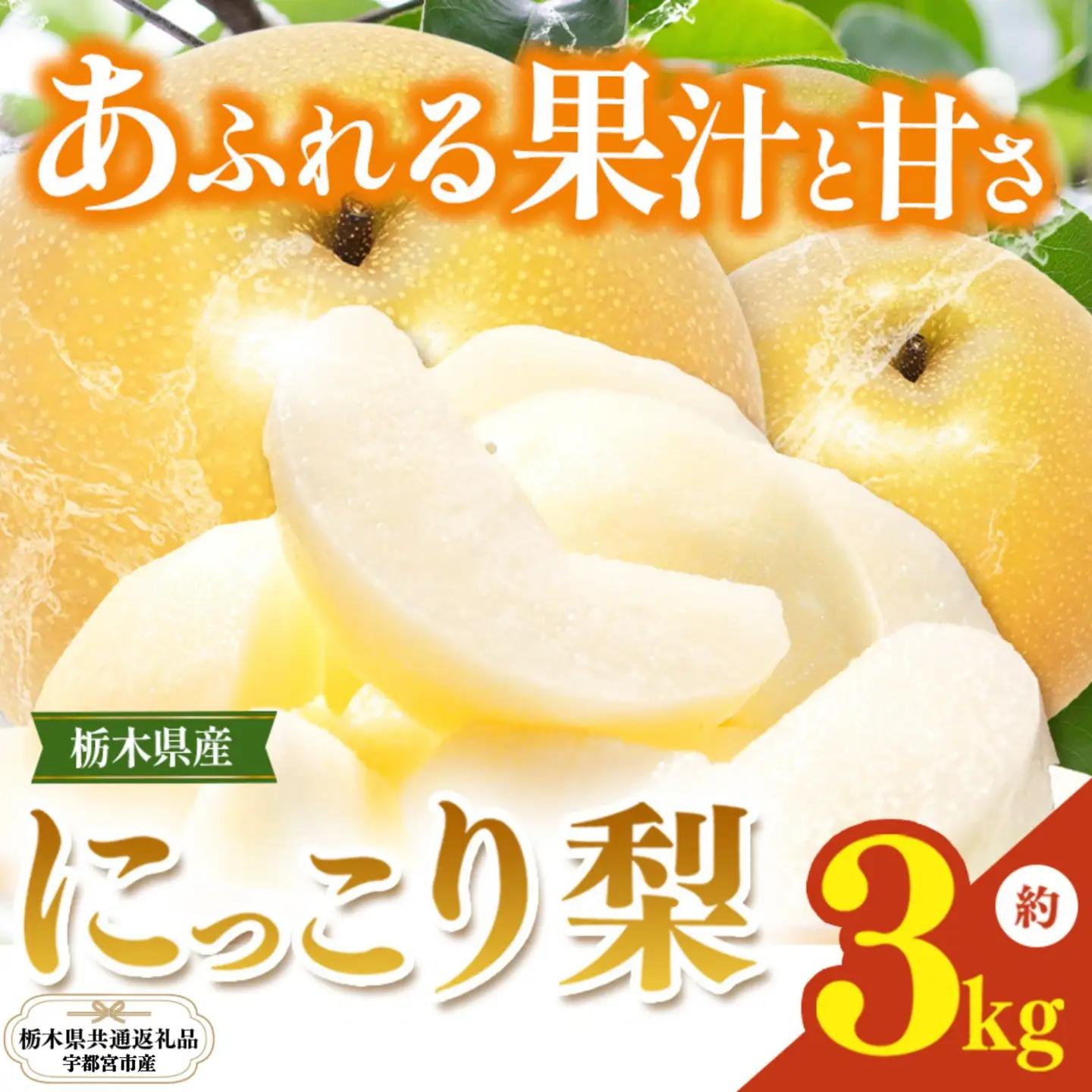 栃木県産梨 にっこり 3kg