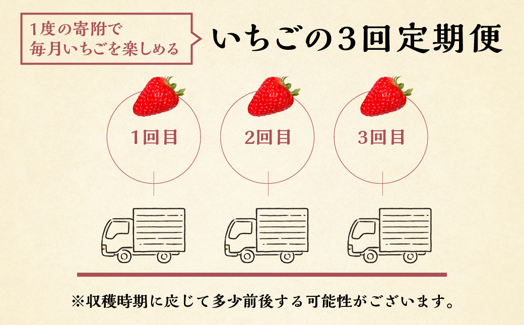 【定期便3回】自宅用 いちご 紅ほっぺ 1kg (250g × 4p ）3か月 3回 [mt1307_25]｜フルーツ 果物 スイーツ 苺 いちご イチゴ しあわせ苺 サイズ バラバラ 訳あり 訳アリ