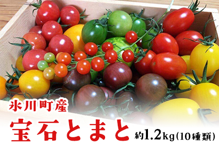 ミニトマト 宝石とまと 1.2kg 10種 トマト