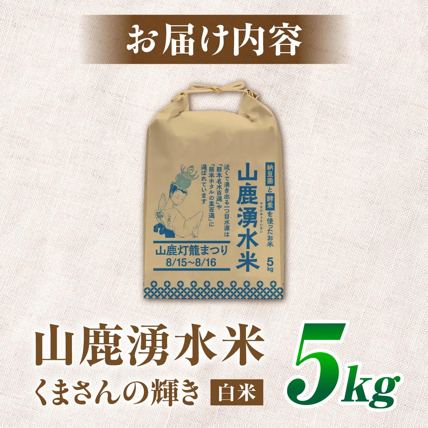 ＼生活応援よか値キャンペーン／先行予約令和8年産 白米 5kg くまさんの輝き ZFO002-CP