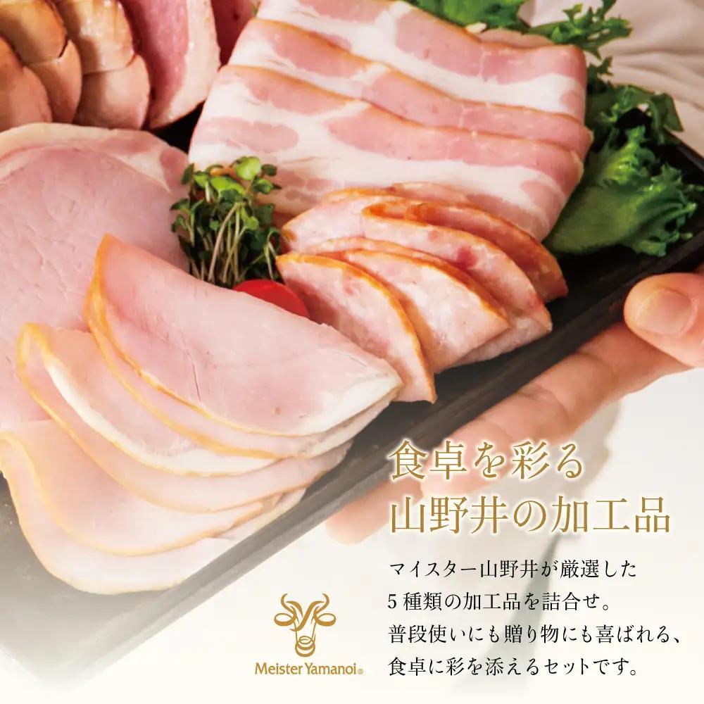 【マイスター山野井】ハム・ソーセージ 5種 詰合せ 計18P ウインナー ベーコン ハム スライス お取り寄せ 肉 豚肉 ご当地 鹿児島 グルメ ロースハム オードブル 惣菜 おかず おせち パーティ