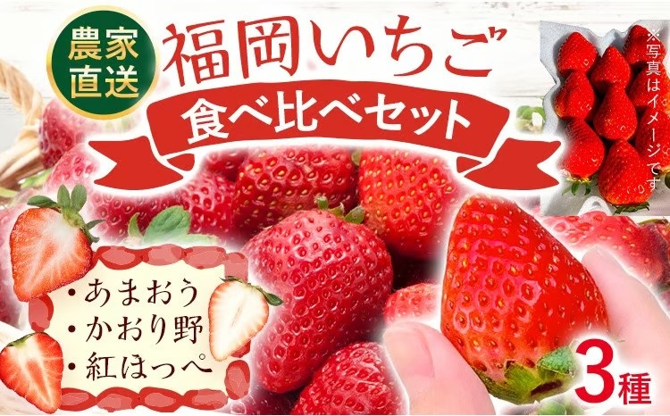  【2027年2月より順次発送】福岡いちご3種　食べ比べセット（あまおう＆かおり野＆紅ほっぺ））2026
