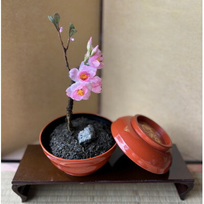 【ふるさと納税】【春 桜】四季を彩る創作草もの盆栽(工芸品)～工房 椿【配送不可地域：離島・北海道・沖縄県】【1598557】