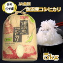 【ふるさと納税】令和6年産 魚沼産 コシヒカリ 5kg【クラフト袋入り】（JA魚沼) 白米 精米 魚沼 米 コメ お米 おコメ おこめ ブランド米 こしひかり お取り寄せ 産地直送 おいしい おにぎり ごはん 白飯 人気 おすすめ 贈り物 ギフト 贈答 新潟 小千谷 JA15P419