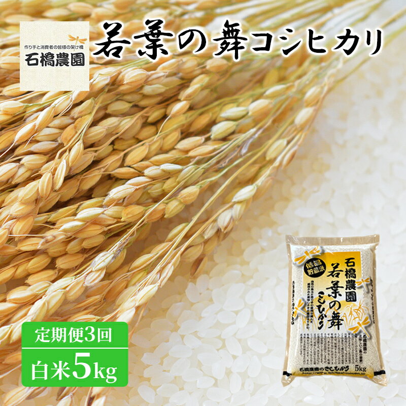 【ふるさと納税】米 若葉の舞 コシヒカリ 白米5kg 定期便3回 こしひかり お米 白米 定期便 精米 千葉 千葉県 低温保存