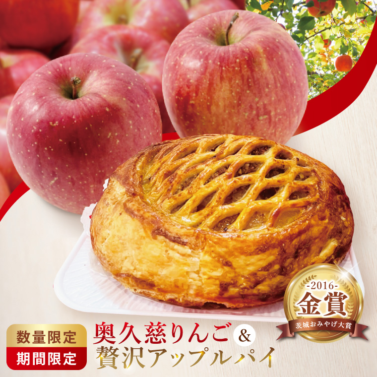 【藤田観光りんご園】奥久慈りんご2kg＆贅沢アップルパイ（ホールサイズ）セット｜茨城県 大子町 林檎 フルーツ 果物 旬 秋 季節限定 数量限定 お菓子 焼菓子 ケーキ おやつ デザート スイーツ(BJ010)