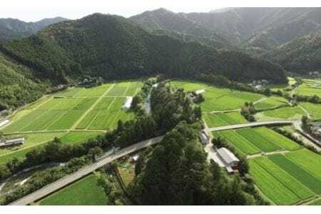 予約受付 2026年8月下旬〜9月上旬頃 新米収穫後発送「赤松大田楽奉納米」コシヒカリ5kg