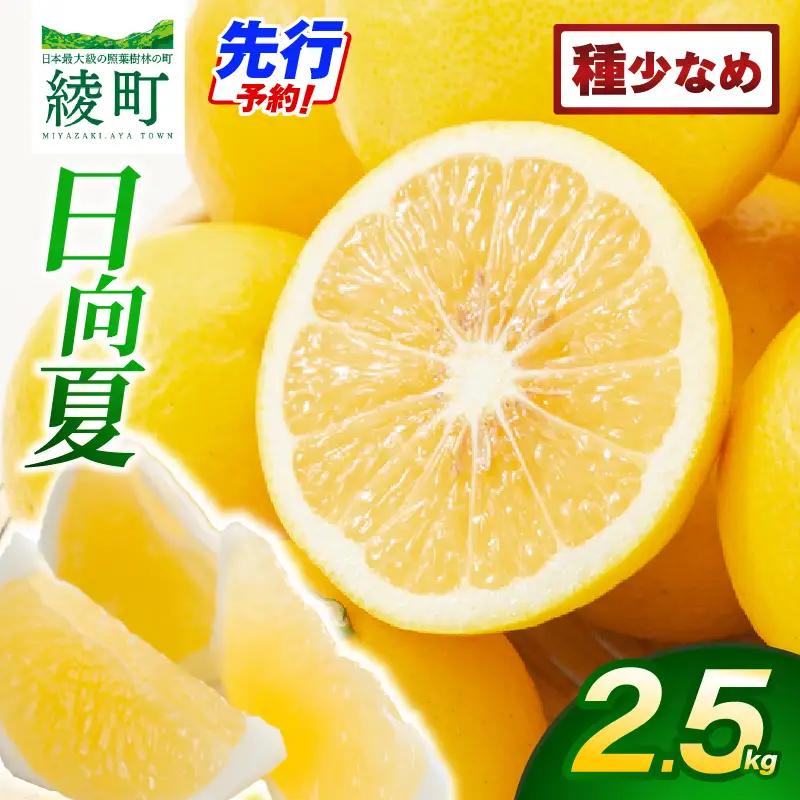 【先行受付】初春の旬「日向夏」種が少ない 2.5kg 果物 フルーツ くだもの 柑橘 フルーツサンド おやつ スイーツ デザート ジャム おすすめ ギフト 贈り物 贈答 プレゼント おすそ分け お返し 宮崎県 綾町 送料無料【JA綾町】_A0114-2421