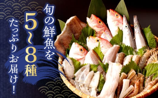 【11月発送分】下処理済！冷蔵配送！長崎県産旬の 鮮魚 贅沢 詰合せ (5種～8種) ※7～11月配送 / 冷蔵配送 詰合わせ 新鮮 朝獲れ魚介 産地直送海鮮 魚詰合わせ 数量限定魚介 海老 えび 新鮮海老 海鮮詰合わせ 海鮮セット 旬のお魚 白身魚 海鮮 ぎょかい 旬の鮮魚 エビ 海鮮 長崎県海鮮 長崎県産海鮮【森水産】[OAI003-11]