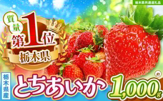 【栃木県共通返礼品】【先行予約】訳ありいちご　サイズランダム 1kg以上 | 果物 くだもの フルーツ 野菜 やさい ヤサイ 苺 イチゴ いちご とちあいか 新鮮 甘い 数量 限定 美味しい 果物 共通返礼品 フルーツ デザート 訳あり 栃木県 那珂川町 送料無料
