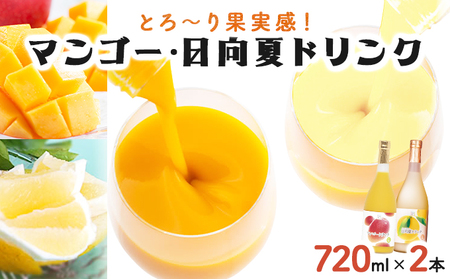 あふれる果実感！マンゴー・日向夏ドリンク２本セット(各720ml)_K021-017