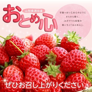 SZ0322　いちご 「おとめ心」　約280g×2パック