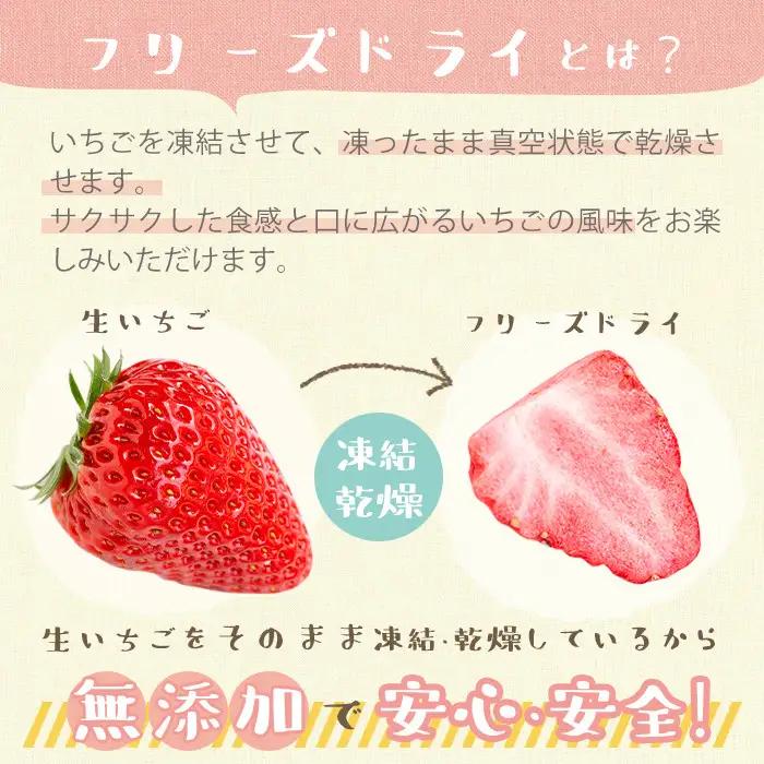 いちご フリーズドライ セット 赤いちご 3袋 白いちご 1袋 保存料無添加【ままりあ農園】No.464 