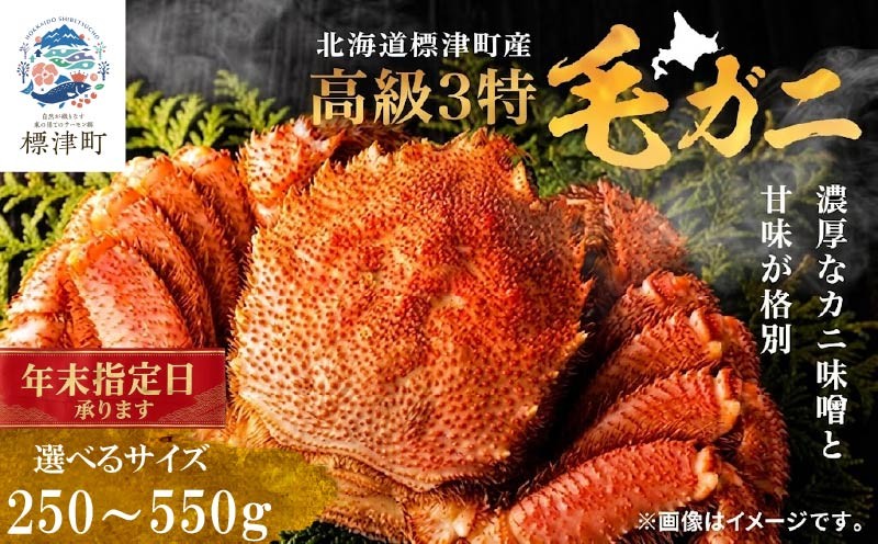 
                  【年末指定日可能】 ボイル 冷凍 3特 毛ガニ 選べるサイズ 250g ~ 550g 国産 北海道産 蟹 かに カニ 毛がに 毛蟹  冷凍毛ガニ 冷凍かに 毛ガニ 冷凍カニ 毛ガニ冷凍 カニしゃぶ 蟹鍋 毛ガニ ごほうび 贅沢 タラ 蟹脚 蟹あし カニ脚 カニフライ 北海道産 魚貝類 魚介類 海鮮 毛ガニ 魚介 魚貝 お祝い プレゼント 年末年始 毛ガニ クリスマス 毛ガニ 大晦日 北海道 標津町
                