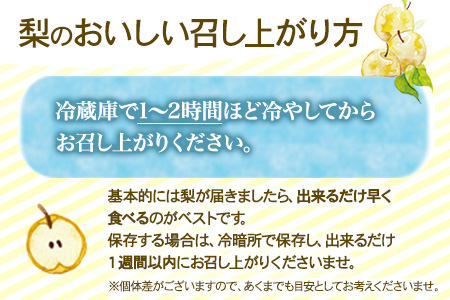 梨【2026年発送先行予約】産地直送 愛宕梨 約4kg