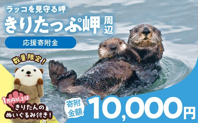 
            ラッコを見守る岬「きりたっぷ岬」周辺の環境整備　10000円分「きりたん」ぬいぐるみ付き_H0028-012-kiri
          