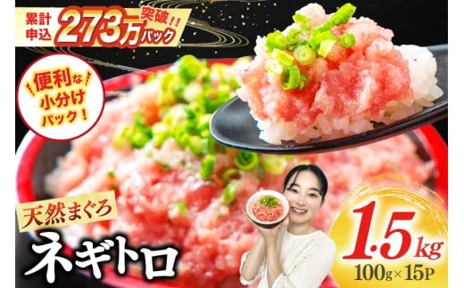 【3月発送】ネギトロ 15パック（計1.5kg） [静岡県 吉田町 22424262-3gatsu] レビューキャンペーン