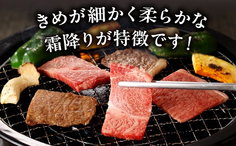 宮崎牛霜降り焼肉 宮崎牛 牛肉 焼肉