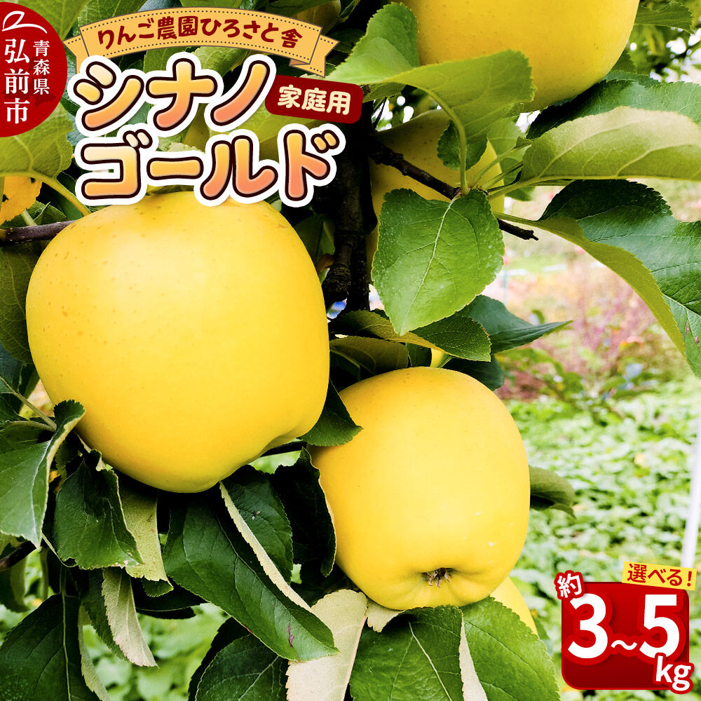【ふるさと納税】りんご【26年11月中旬〜発送】シナノゴールド 家庭用【選べる約 3kg／5kg】 先行受付 [先行予約 林檎 3kg 5kg 美味 おいしい 青森県 弘前市 りんご農園ひろさと舎]