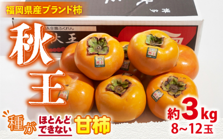 【10月中旬より発送】先行予約 福岡産ブランド柿 秋王 約3kg（8-12玉）＜南国フルーツ株式会社＞那珂川市 柿 秋王 ブランド フルーツ 果物 九州産 国産 [GCD022]32000 32000円