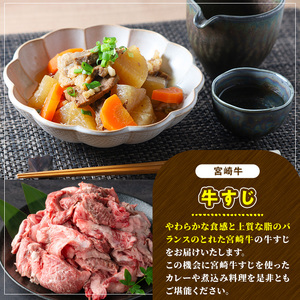 宮崎牛 牛すじ(1kg) 希少部位 BBQ 牛肉 肉 ブランド牛  冷凍 国産 精肉 お取り寄せ 黒毛和牛 宮崎県 【LJ016】【ローカルブランディング株式会社】