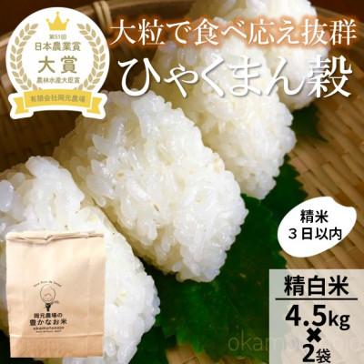 ふるさと納税 能美市 【日本農業賞大賞】ひゃくまん穀9kg(4.5kg×2)精白米