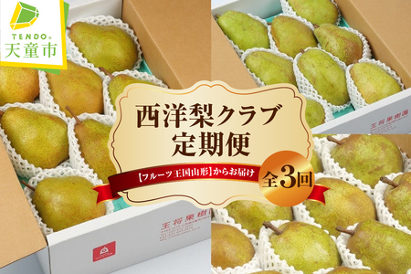 西洋梨 クラブ ( 定期便 ) 全3回 フルーツ 果物 山形 