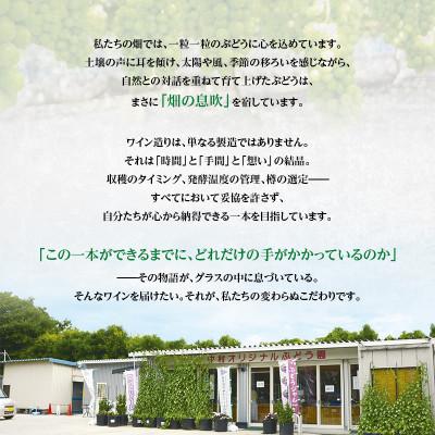 ふるさと納税 河内長野市 N21ワイン 720ml 中村オリジナルぶどう園のオリジナル品種使用 |  | 03