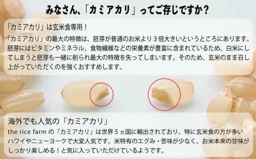 米 玄米 令和6年産 【幻の玄米】 自然栽培 カミアカリ 玄米 1kg  【009-08】