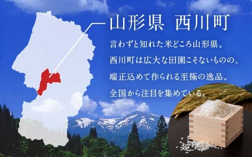 FYN1-260 【4月発送】 令和7年産 山形県産 はえぬき 10kg 2025年 お米 米 米米 ごはん ご飯 白米 国産 ブランド米 節水 時短 冷めてもおいしい お取り寄せ 食品 山形県 西川