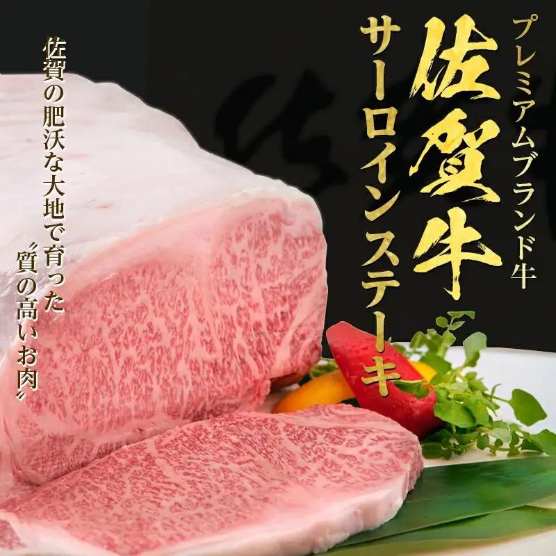 佐賀牛 サーロインステーキ250g×2枚(合計500g) ステーキ