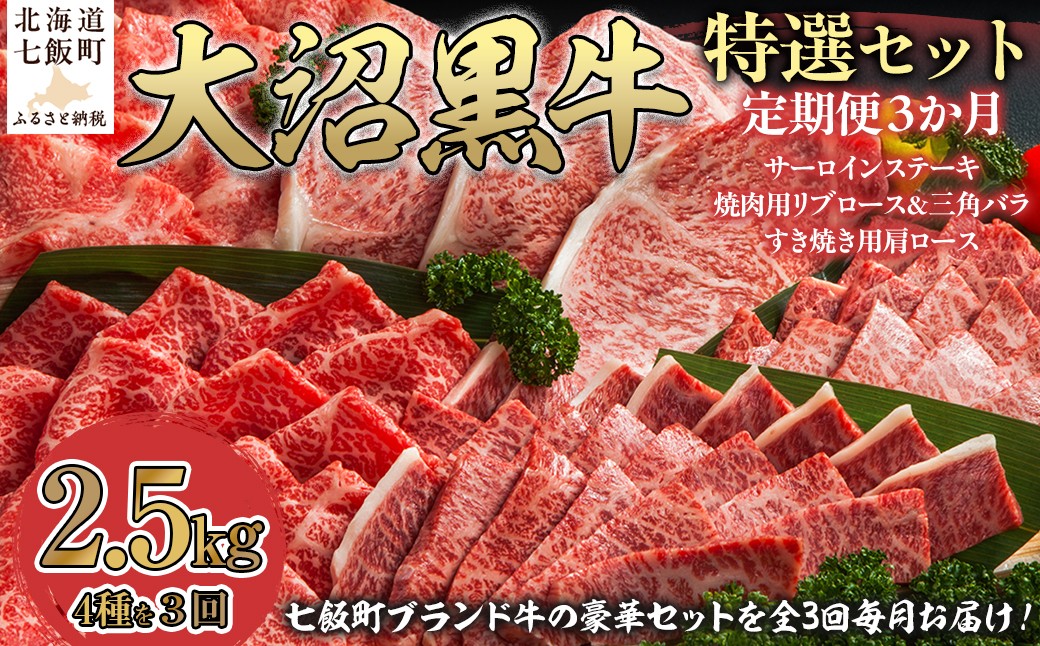 
                  定期便セット定期3か月　【北海道ブランド牛】大沼黒牛の特選セット 【 ふるさと納税 人気 おすすめ ランキング 北海道ブランド牛 大沼黒牛 黒毛和牛 サーロイン リブロース 焼肉 肩ロース おいしい 北海道 七飯町 送料無料 】 NAM059
                
