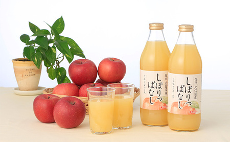 3ヵ月連続お届け！毎月変わる果汁100％人気ジュースセット定期便【1回目】信州産 りんごジュース 果汁100％「しぼりっぱなし」  (1L×6本)【2回目】信州産 巨峰ジュース 果汁100％「紫宝の恵