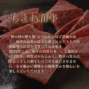 ごろっと しまね和牛カレー    3食セット