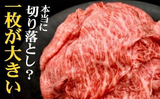 ※写真はイメージです