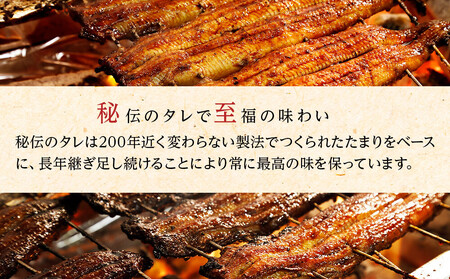 【定期便／全3回】ひつまぶし店『まるや本店』２人用ひつまぶし【うなぎ 魚介類 水産 食品 人気 おすすめ ギフト 冷凍 温めるだけ お土産 愛知県 長久手市】