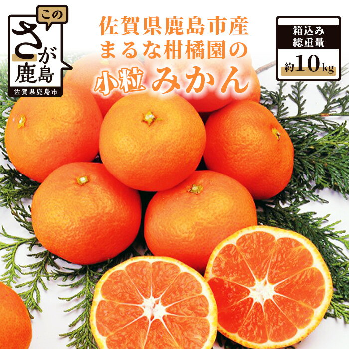 【ふるさと納税】【数量限定】【先行予約】まるな 柑橘園の 小粒 みかん 約10kg 小玉サイズ Sサイズ以下 ミカン 蜜柑 佐賀県 鹿島市産 送料無料 【2025年9月下旬以降から発送予定】 A-64