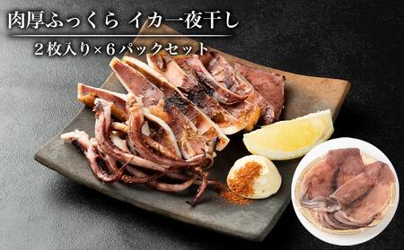 肉厚ふっくら イカ一夜干し２枚入り×６パックセット【一夜干しいか 一夜干しイカ 酒の肴いか 酒の肴イカ 魚介類いか 魚介類イカ おつまみいか おつまみイカ 那智勝浦いか 那智勝浦イカ 和歌山特産 一夜干しいか 一夜干しイカ 酒の肴いか 酒の肴イカ 魚介類いか 魚介類イカ おつまみいか おつまみイカ 那智勝浦いか 那智勝浦イカ 和歌山特産】