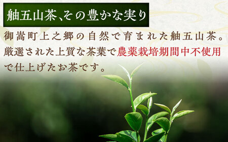 舳五山茶　特撰茶・一番茶セット 計750g / 茶 ちゃ お茶 おちゃ 緑茶 りょくちゃ 日本茶 茶葉 / 御嵩町 / 舳五山茶園委員会[AVAD002]