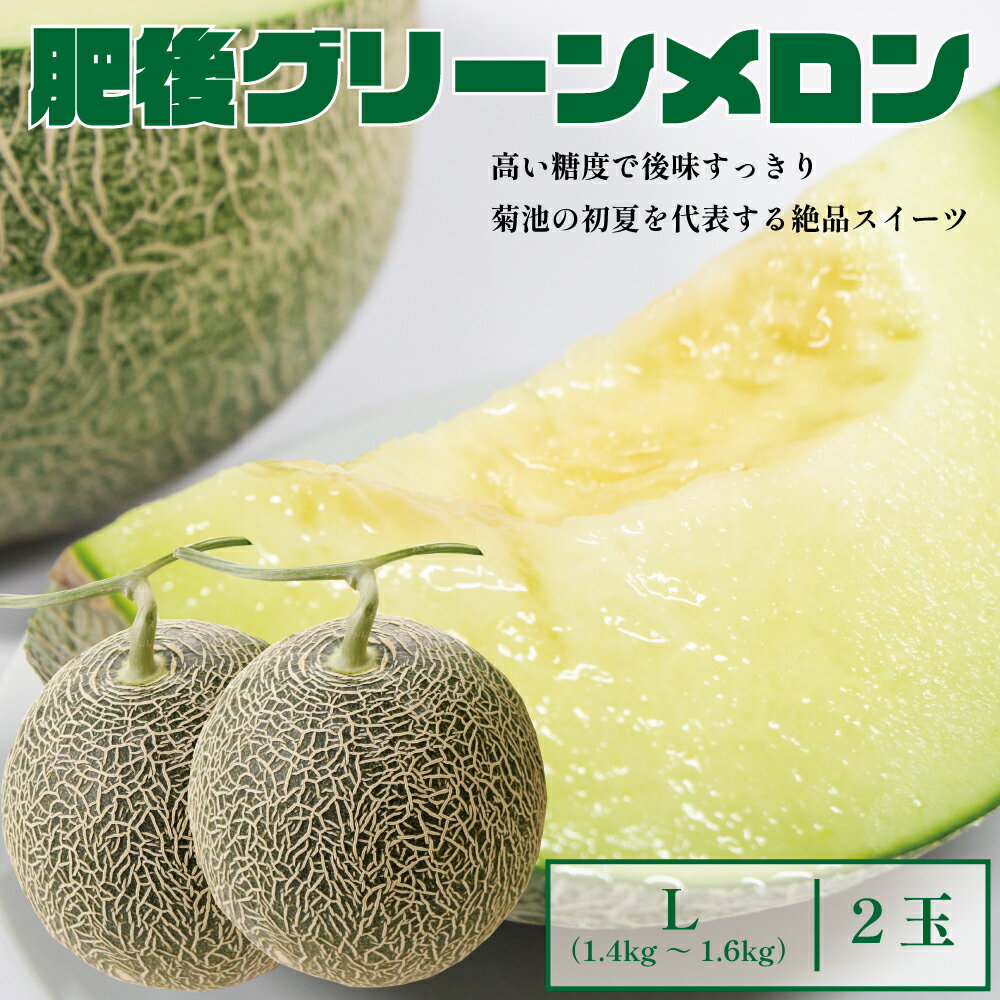 【ふるさと納税】肥後グリーンメロン 中 Lサイズ 2玉 1玉約1.4～1.6kg メロン 果物 フルーツ 菊池市産 熊本県産 九州産 国産 送料無料 【2025年5月上旬～6月下旬に順次発送予定】